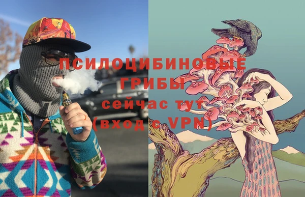 спайс Тында