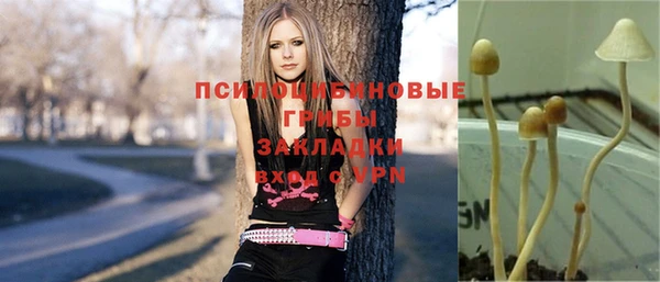 гашиш Тутаев