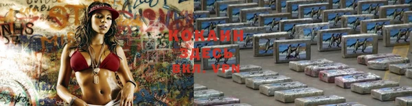 спайс Тында